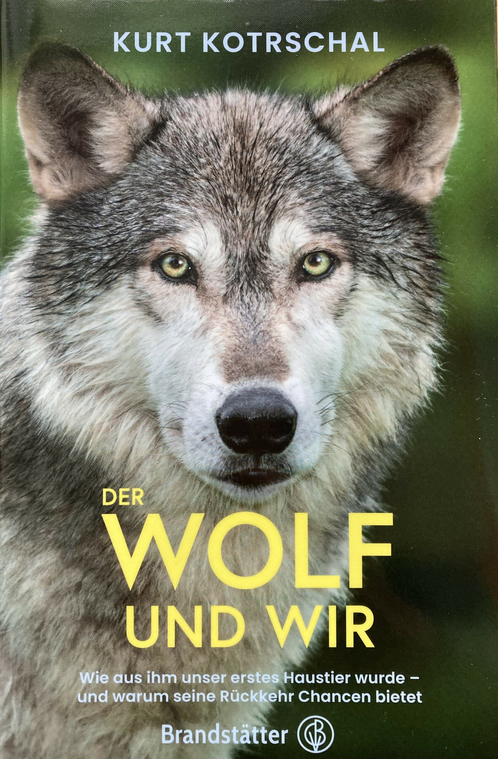 Warum Schießen Wir Noch? - KLIMAPLANET.COM