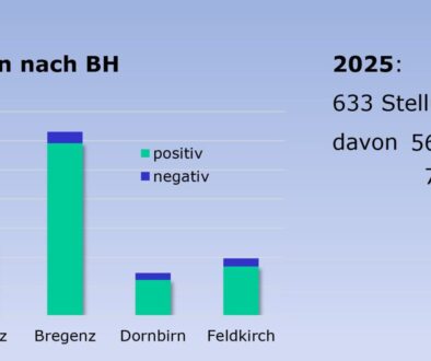 statistik_2025